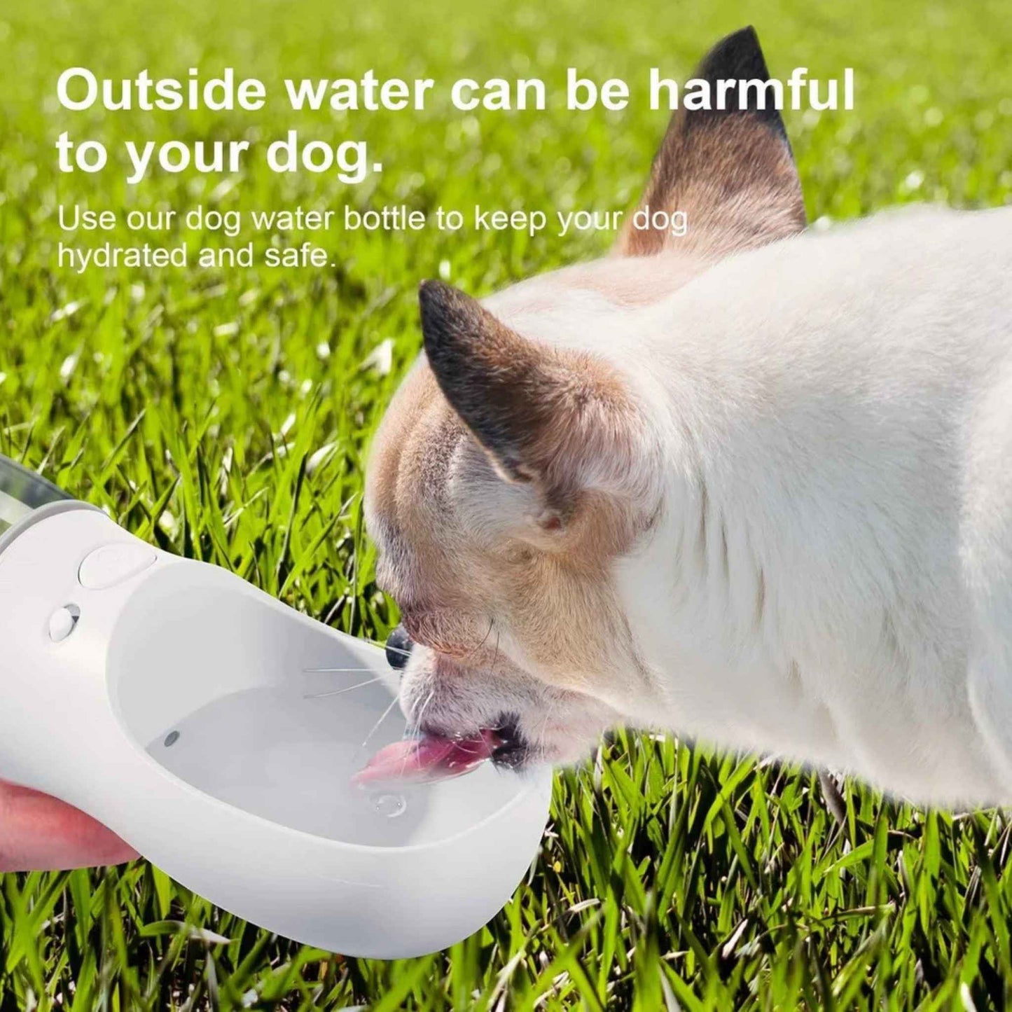 Portable Dog Water Bottle – Leak-Proof Travel Water Dispenser with One-Key Water Release, 12oz (Milk White)