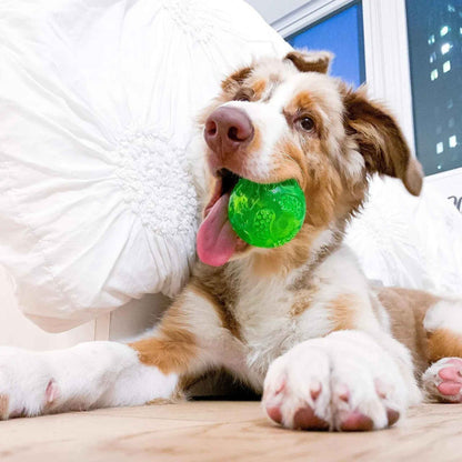 Hyper Pet DuraSqueak Floating Dog Balls – Interactive Squeaky Fetch Toy for Small & Medium Dogs, Durable Rubber Chew Ball (2-Pack, 2.5")