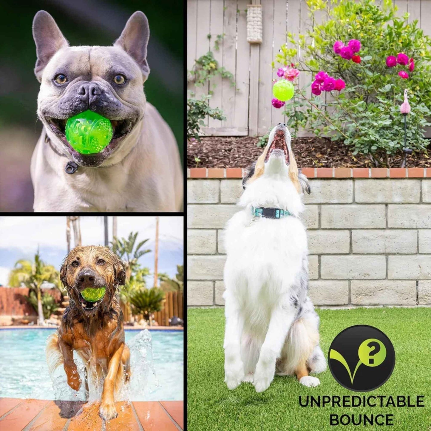 Hyper Pet DuraSqueak Floating Dog Balls – Interactive Squeaky Fetch Toy for Small & Medium Dogs, Durable Rubber Chew Ball (2-Pack, 2.5")