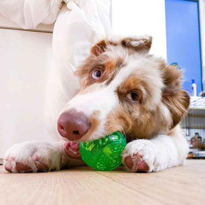Hyper Pet DuraSqueak Floating Dog Balls – Interactive Squeaky Fetch Toy for Small & Medium Dogs, Durable Rubber Chew Ball (2-Pack, 2.5")