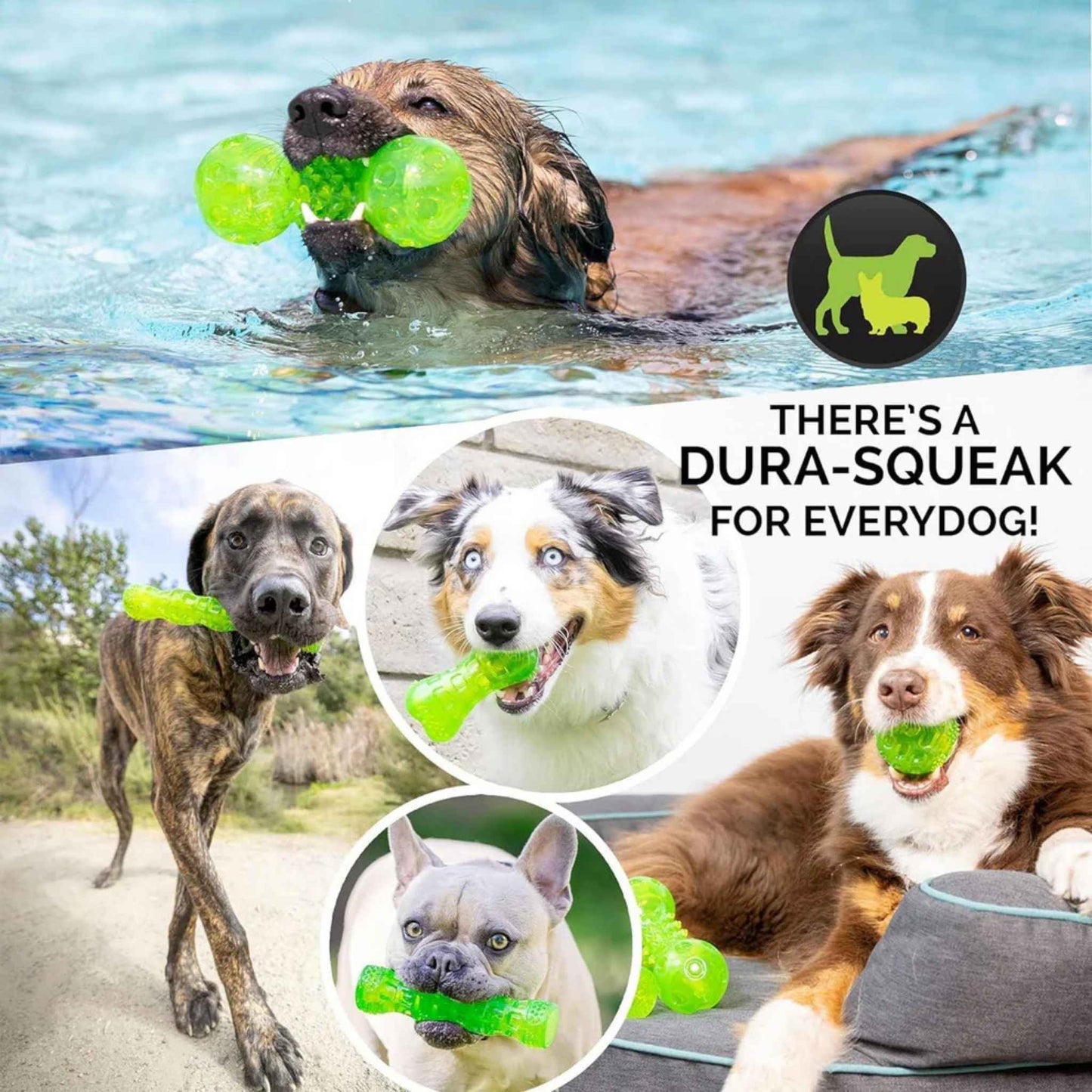 Hyper Pet DuraSqueak Floating Dog Balls – Interactive Squeaky Fetch Toy for Small & Medium Dogs, Durable Rubber Chew Ball (2-Pack, 2.5")